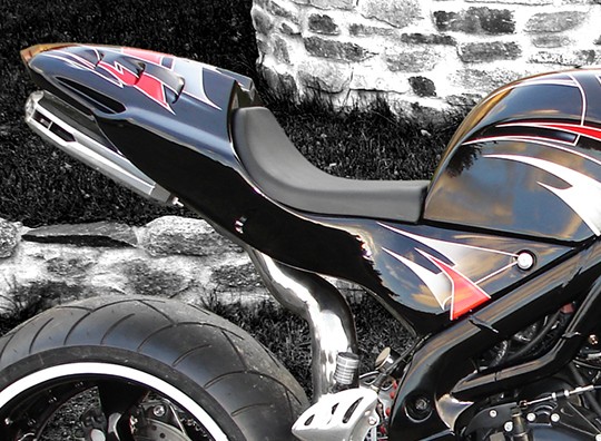 Heck Diablo Triumph Edition / tail Diablo Triumph Edition – Bild 2